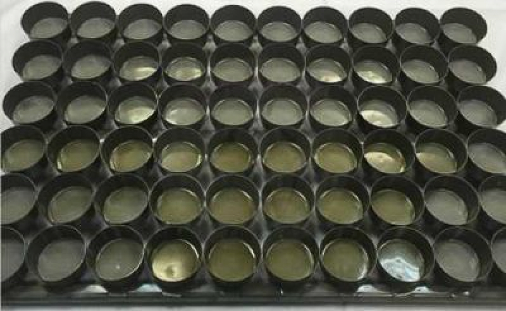 Сборка форм для выпечки на решетке "Маффин", 5,5*6*3 см, 60 шт, решетка 60*40, P.L. Proff Cuisine (ч 81200627. Фото