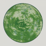 Тарелка RAK Porcelain Peppery Coupe круглая глубокая 1,2 л, d 26 см, зеленый цвет 81220276. Фото
